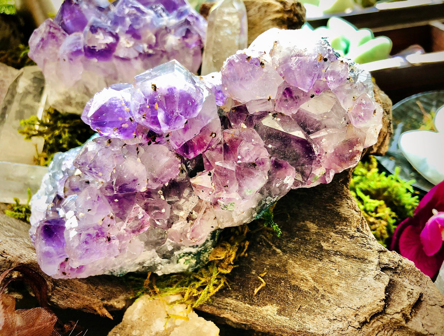 Large Amethyst Druze