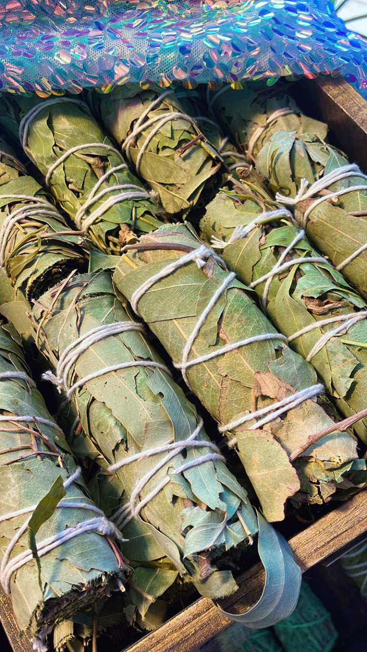 Yerba Santa Bündel Reinigung Sakralisierung