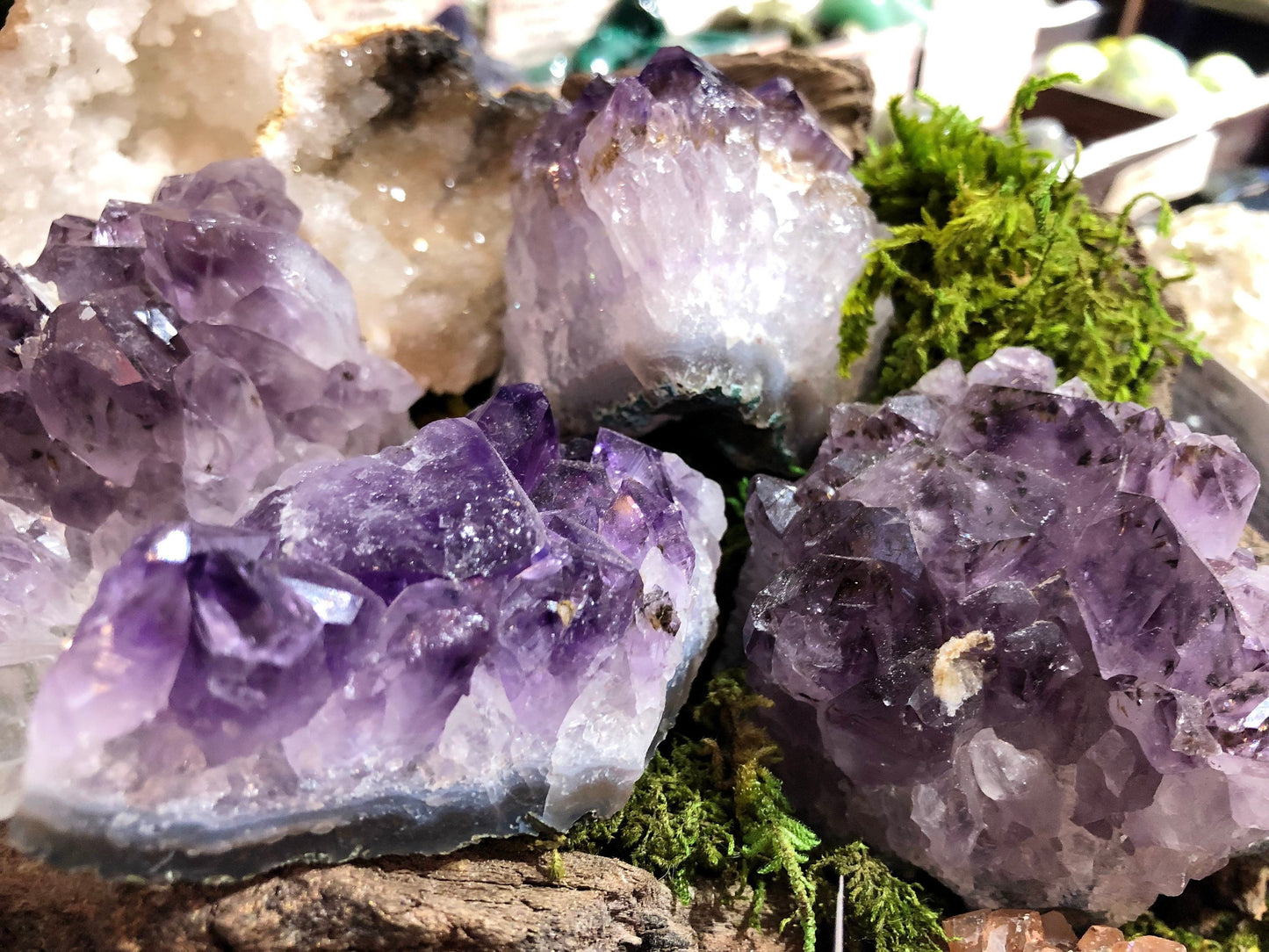 Large Amethyst Druze