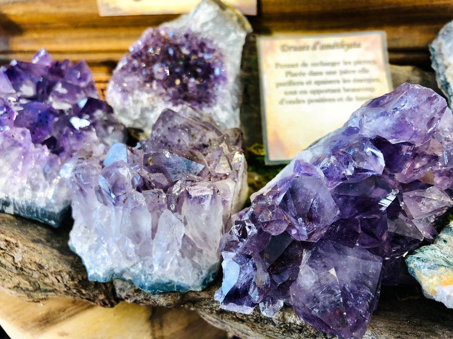 Large Amethyst Druze