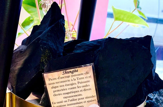 Huge raw shungite