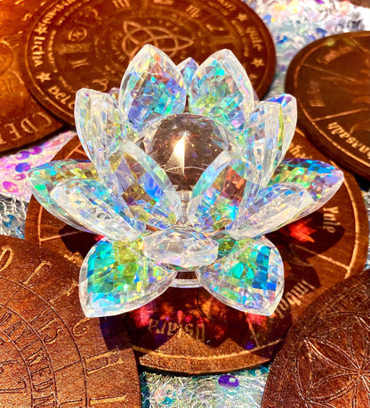 fleur de lotus arc en ciel