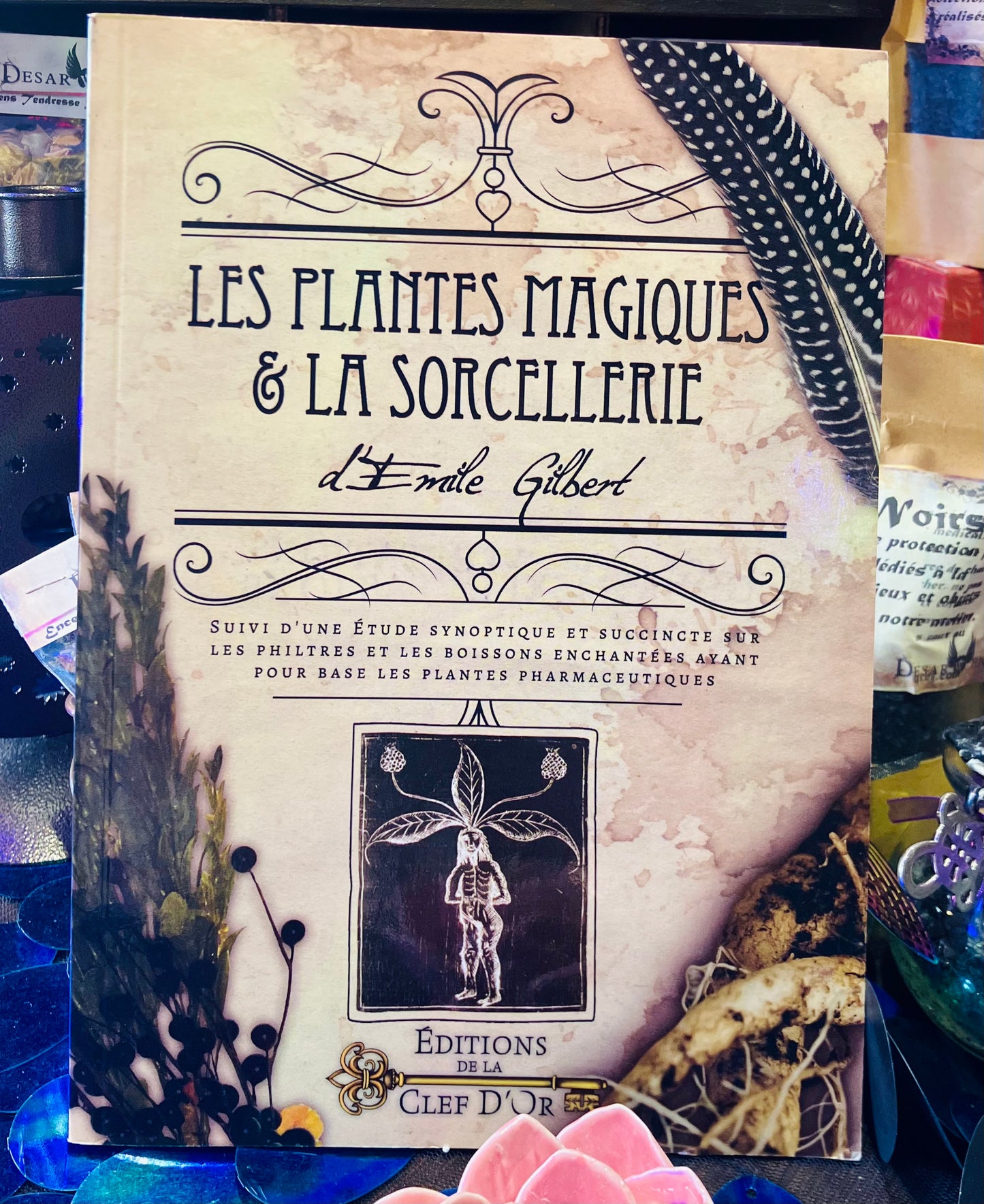 Les plantes magiques et la sorcellerie