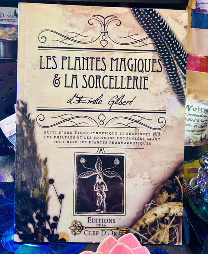 Les plantes magiques et la sorcellerie
