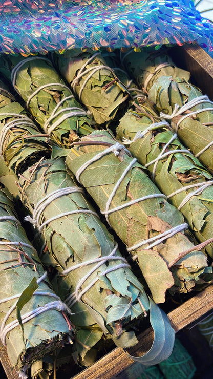 Yerba Santa Bündel Reinigung Sakralisierung