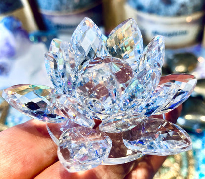 fleur de lotus arc en ciel