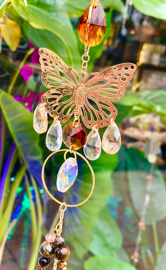 arc en ciel papillon œil de tigre bronzite