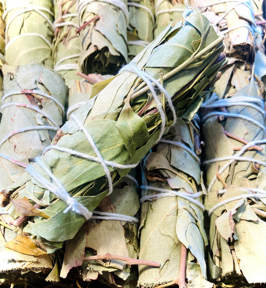 Yerba Santa Bündel Reinigung Sakralisierung