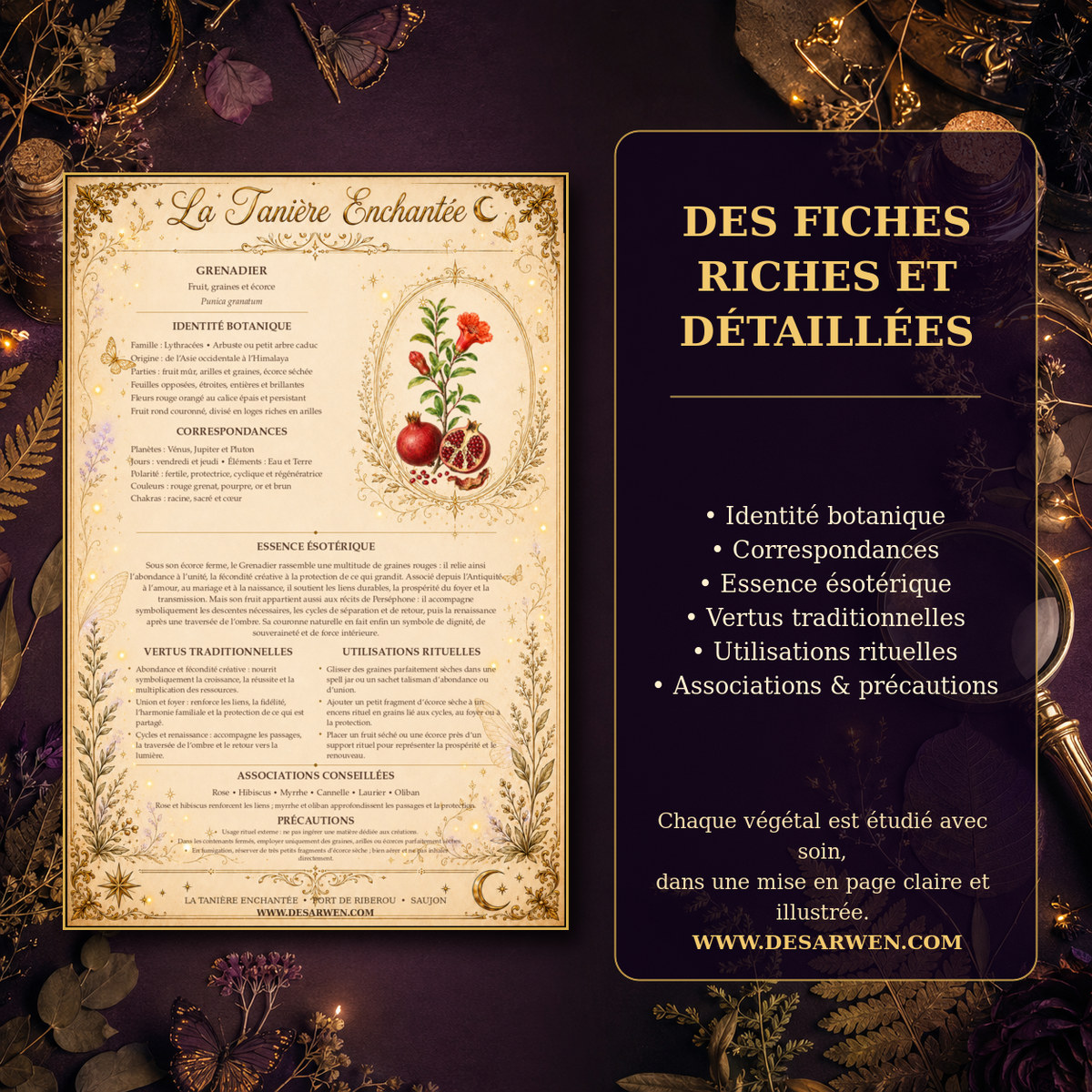 Bibliothèque Végétale de La Tanière