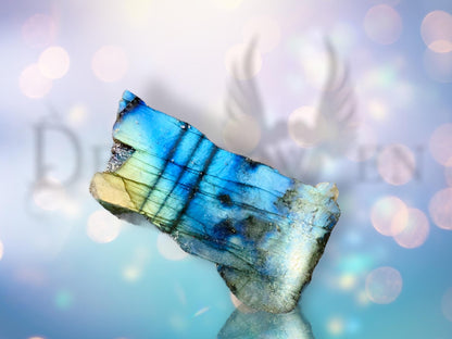 Labradorite une face sciée