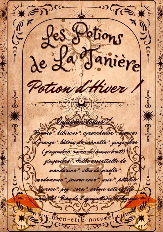 Winter potion infusion ginger rosehip mandarin