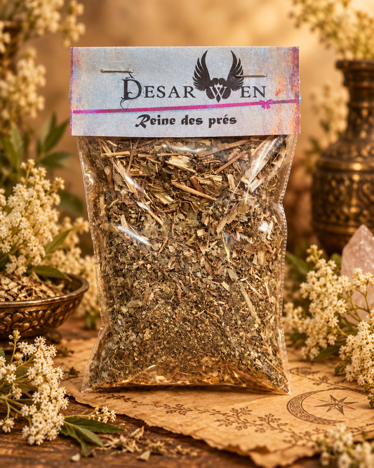 Reine des prés séchée Desarwen pour rituels et magie verte, sachet 10 g